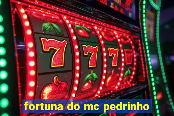 fortuna do mc pedrinho