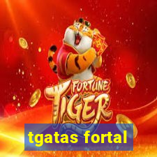 tgatas fortal