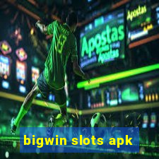 bigwin slots apk