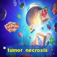 tumor necrosis factor beta