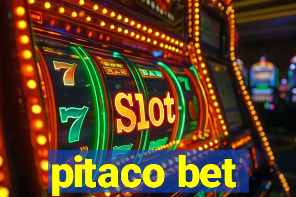 pitaco bet