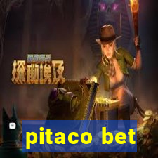 pitaco bet