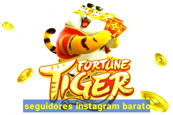 seguidores instagram barato