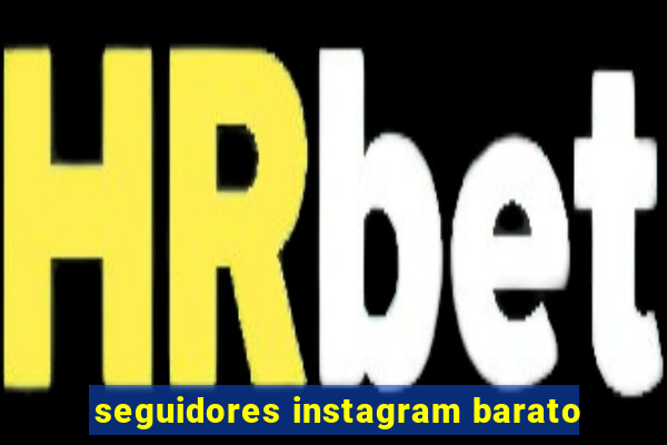 seguidores instagram barato