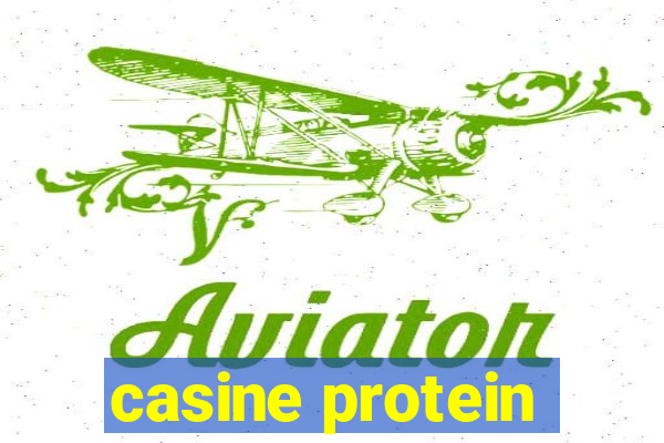 casine protein