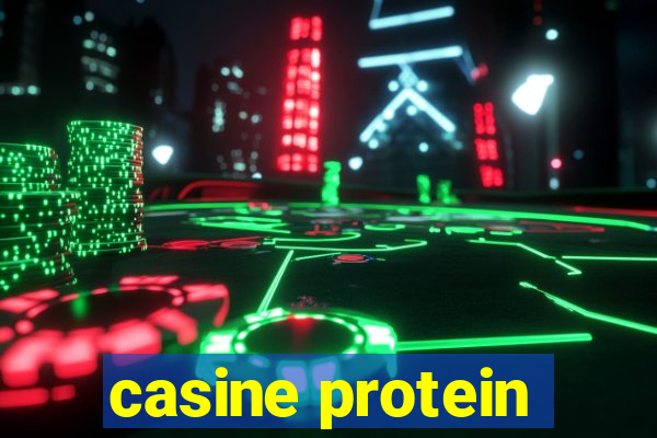 casine protein