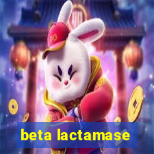 beta lactamase