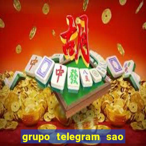 grupo telegram sao jose do rio preto