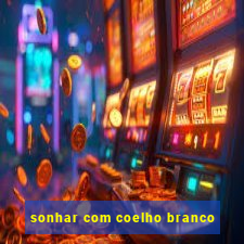 sonhar com coelho branco