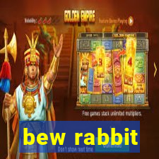 bew rabbit