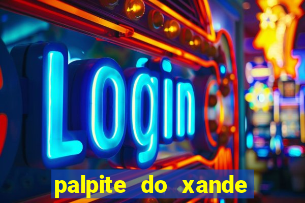 palpite do xande de hoje