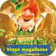 bingo magallanes