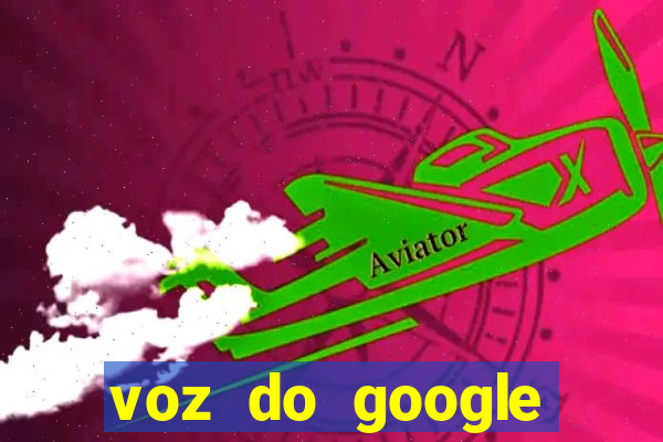 voz do google tradutor homem