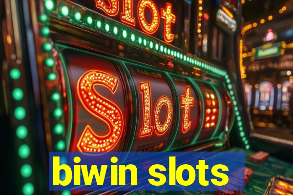 biwin slots