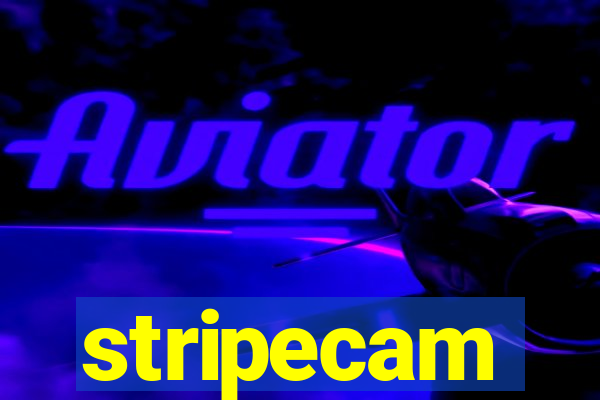 stripecam