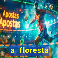 a floresta encantada meme