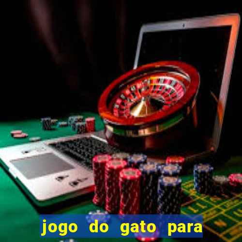 jogo do gato para ganhar dinheiro