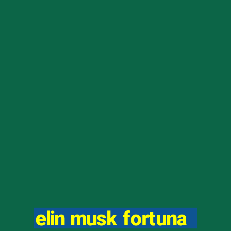 elin musk fortuna