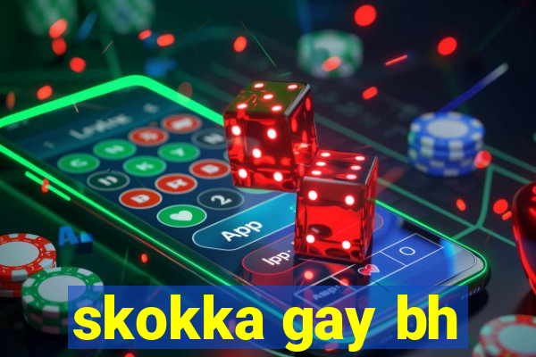 skokka gay bh