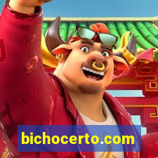 bichocerto.com