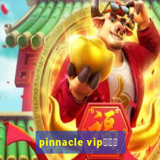 pinnacle vipコード