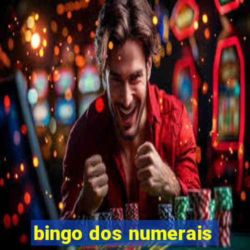 bingo dos numerais