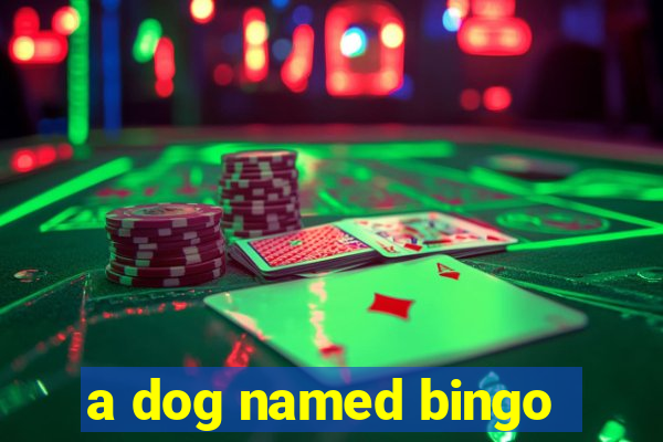 a dog named bingo