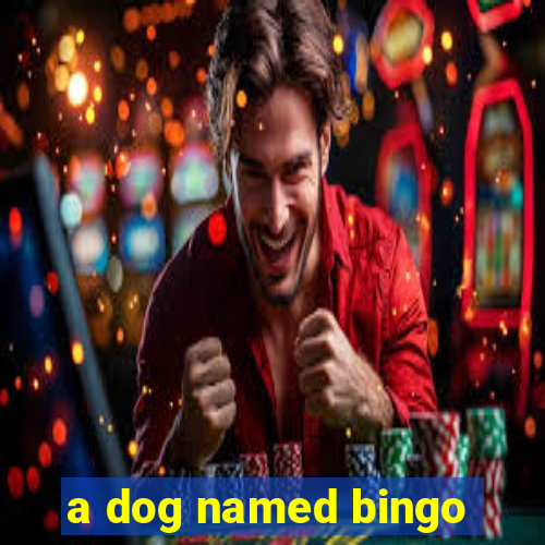 a dog named bingo