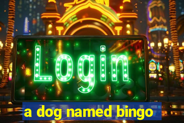 a dog named bingo