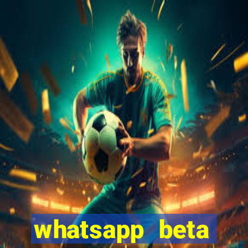 whatsapp beta 3.3.10 2024