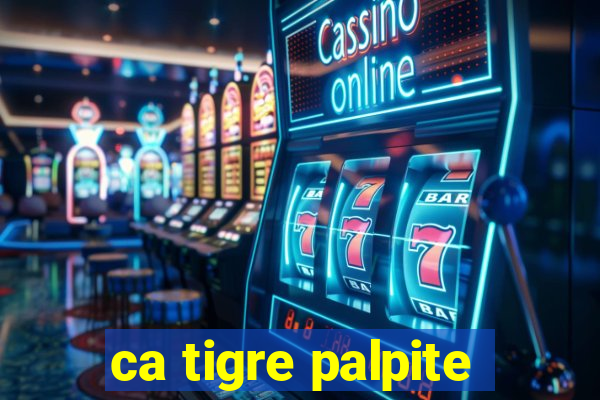 ca tigre palpite