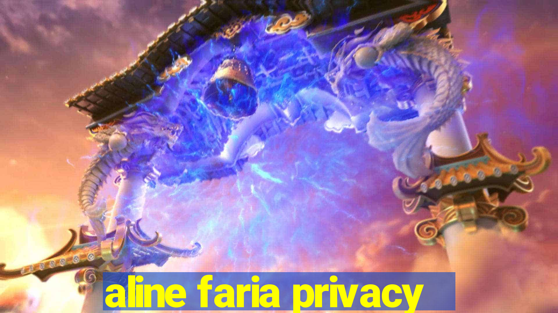 aline faria privacy