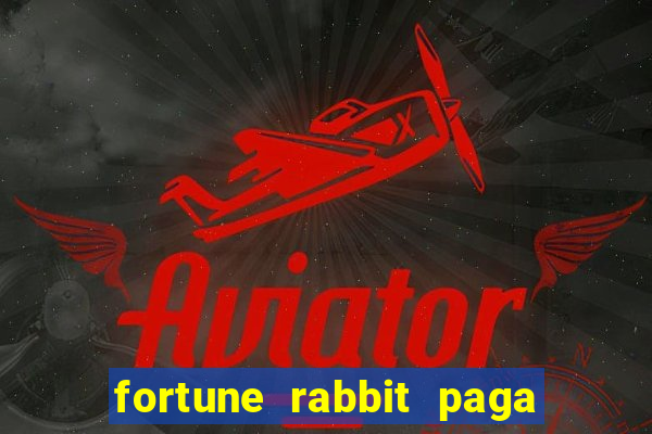 fortune rabbit paga mesmo Informational