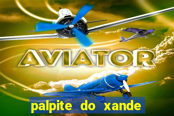 palpite do xande para hoje