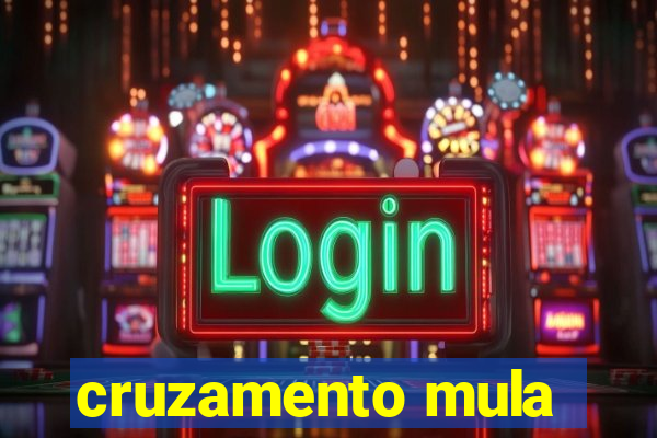 cruzamento mula