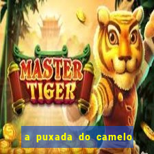 a puxada do camelo no jogo do bicho