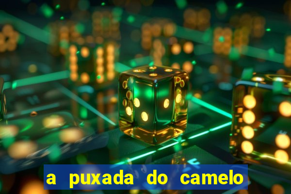 a puxada do camelo no jogo do bicho