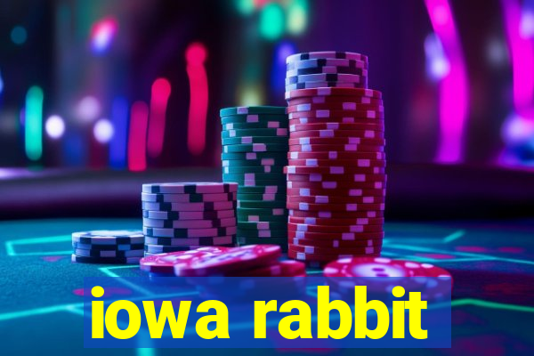 iowa rabbit