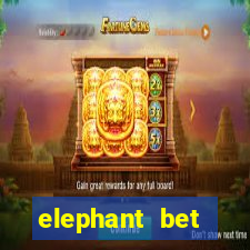 elephant bet aviator login