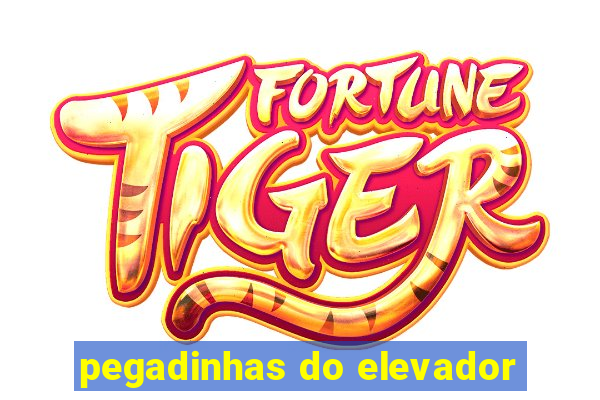 pegadinhas do elevador