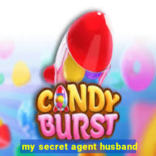 my secret agent husband