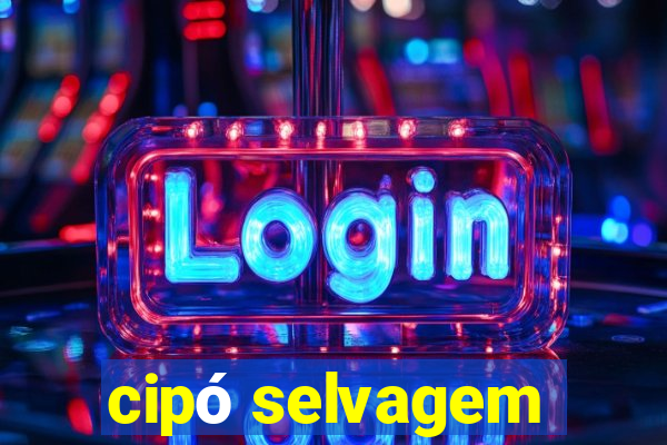 cipó selvagem