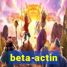 beta-actin