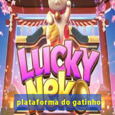 plataforma do gatinho