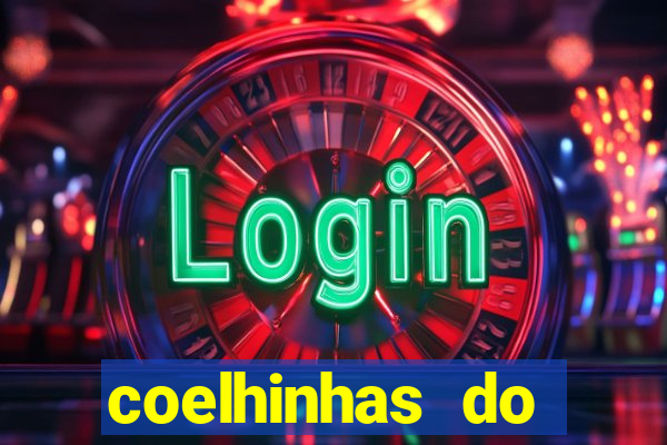 coelhinhas do brasil recife