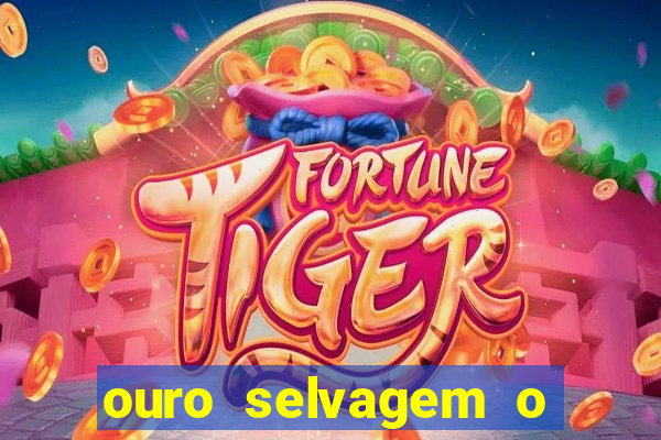 ouro selvagem o que aconteceu na vida