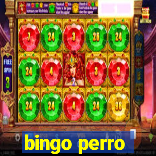 bingo perro