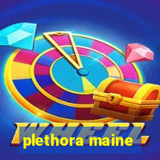 plethora maine