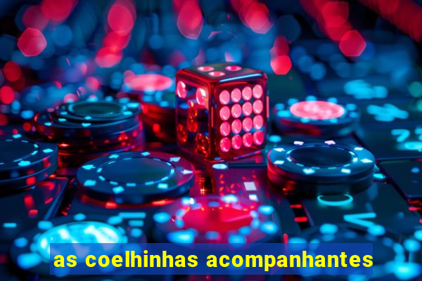 as coelhinhas acompanhantes