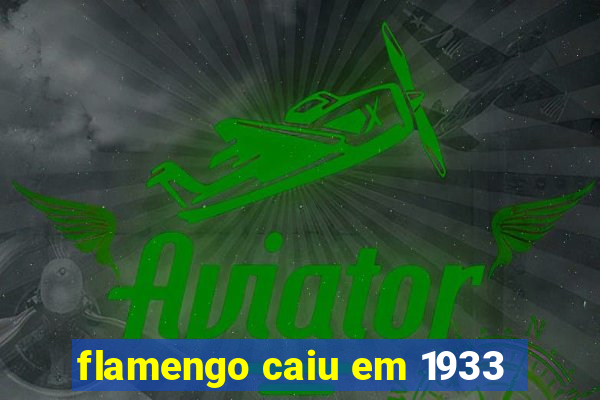 flamengo caiu em 1933